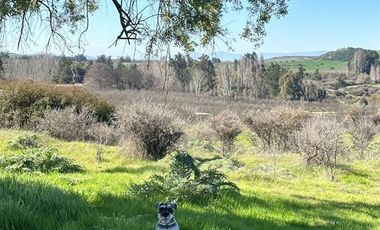 Parcela en Venta en h20