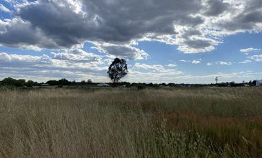 Venta De Parcelas Chillán