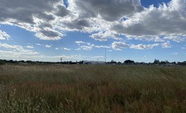 Venta De Parcelas Chillán