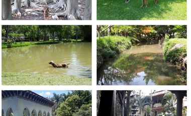 Rancho en venta Chinconcuac, Morelos