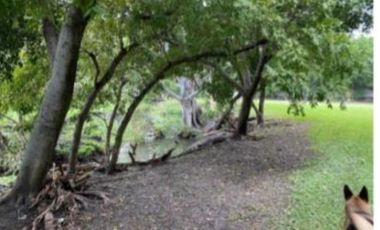 Rancho en venta Chinconcuac, Morelos