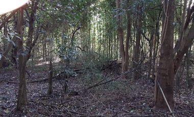 Terreno - Loma Verde