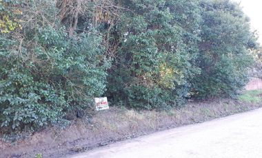 Terreno - Loma Verde