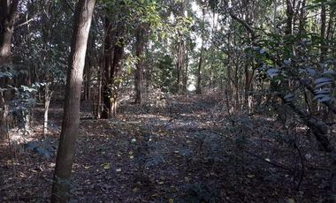 Terreno - Loma Verde