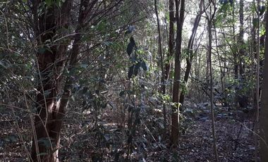 Terreno - Loma Verde