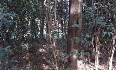 Terreno - Loma Verde