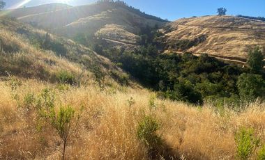 parcela 5000 M2 sector Pumanque Región de Ohiggins