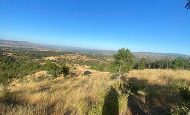 parcela 5000 M2 sector Pumanque Región de Ohiggins