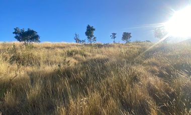 parcela 5000 M2 sector Pumanque Región de Ohiggins