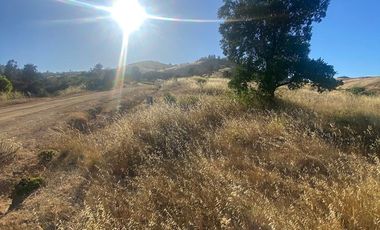 parcela 5000 M2 sector Pumanque Región de Ohiggins