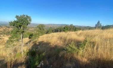 parcela 5000 M2 sector Pumanque Región de Ohiggins