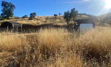 parcela 5000 M2 sector Pumanque Región de Ohiggins