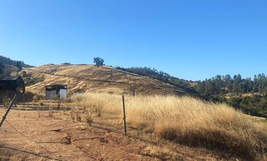 parcela 5000 M2 sector Pumanque Región de Ohiggins