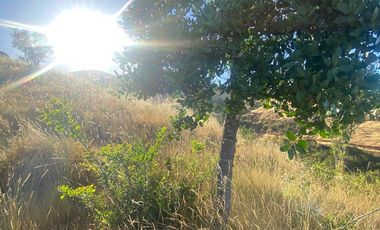 parcela 5000 M2 sector Pumanque Región de Ohiggins