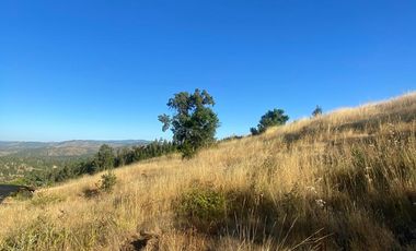 parcela 5000 M2 sector Pumanque Región de Ohiggins