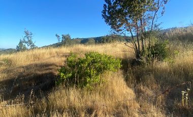 parcela 5000 M2 sector Pumanque Región de Ohiggins