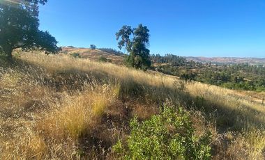 parcela 5000 M2 sector Pumanque Región de Ohiggins