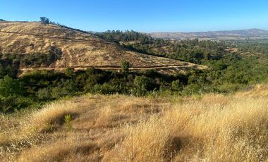 parcela 5000 M2 sector Pumanque Región de Ohiggins