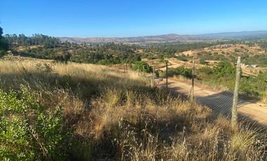 parcela 5000 M2 sector Pumanque Región de Ohiggins