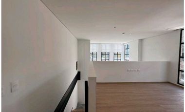 Chico Apartaestudio Super Iluminado Para Estrenar