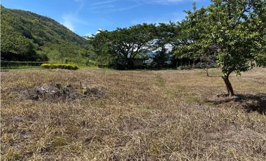 VENTA LOTE TARSO, - SUROESTE ANTIOQUEÑO