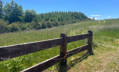 Parcela en venta de 5000m2 ubicado en Villarrica