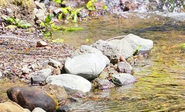 Casa en venta c/ estacionamiento en Camino Villarrica a Pucón