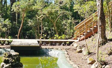 Casa en venta c/ estacionamiento en Camino Villarrica a Pucón