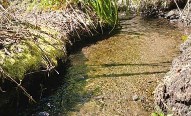 Casa en venta c/ estacionamiento en Camino Villarrica a Pucón