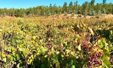 Parcela en Venta en I-566