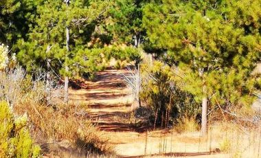 Parcela en Venta en I-566