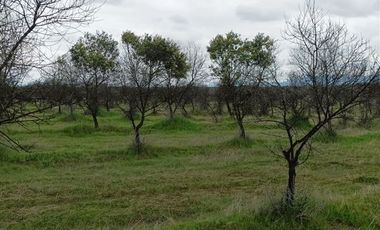 Parcela en Venta en I-214