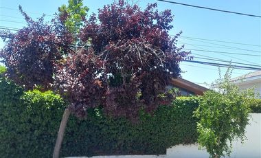 Casa en Arriendo en Chile espala y echeñique