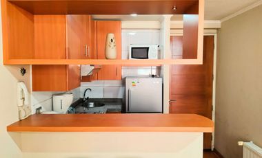 arriendo departamento amoblado santiago