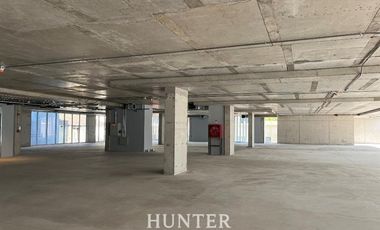 Oficina en Arriendo en San Martin / Santo Domingo. Metro Santa Ana