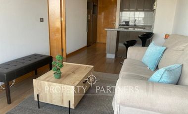 Precioso departamento amoblado con vista al mar en Parque Brasil