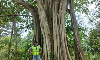 Venta de Lotes Urbanizados – Sector Club El Pacífico, Tonsupa AH