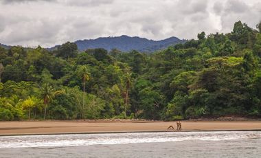 Cabaña en Venta en Bahia Solano Chocó