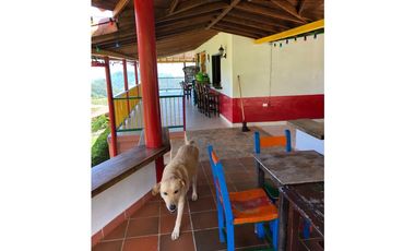 VENTA HERMOSA FINCA EN SANTA BRBARA