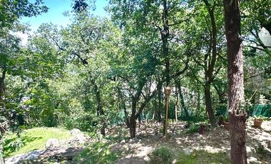 Residencia en Venta en Bosques de San Angel