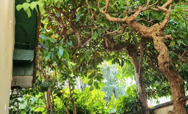 Casa en venta - 2 Dormitorios 1 Baño - 211mts2 - Mar Del Plata