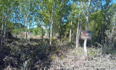 Terreno en Venta - 500mts2 - Nueva Atlantis