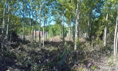 Terreno en Venta - 500mts2 - Nueva Atlantis