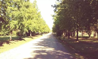 Terreno en venta - 1.504Mts2 - Exaltación de La Cruz