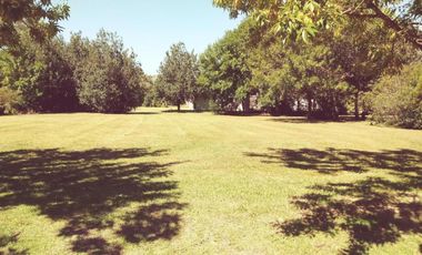 Terreno en venta - 1.504Mts2 - Exaltación de La Cruz