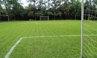 Terreno en venta - 1.504Mts2 - Exaltación de La Cruz