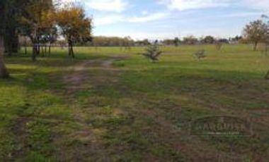 Terreno - Longchamps