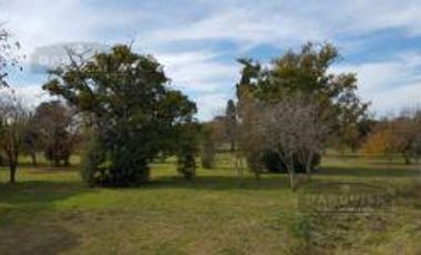 Terreno - Longchamps