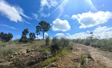 TERRENO EN VENTA EN TLAXCALA