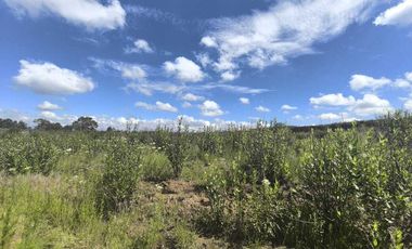 TERRENO EN VENTA EN TLAXCALA